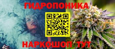 каннабис Гусиноозёрск