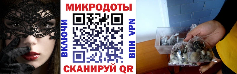 Галлюциногенные грибы Psilocybe  Нижнекамск 