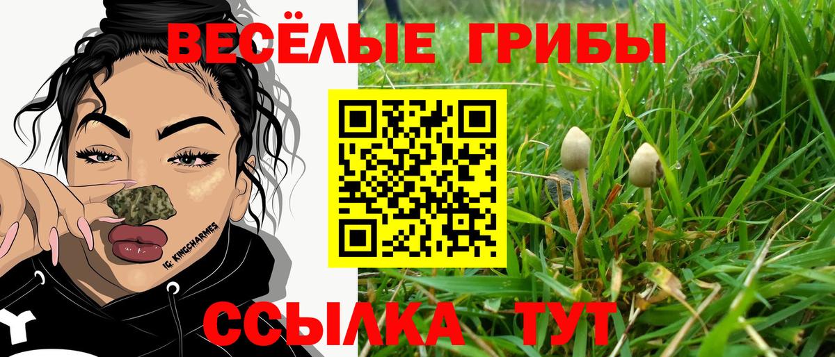 Галлюциногенные грибы Magic Shrooms  Псилоцибиновые грибы Magic Shrooms  Вход с VPN  Нижнекамск 